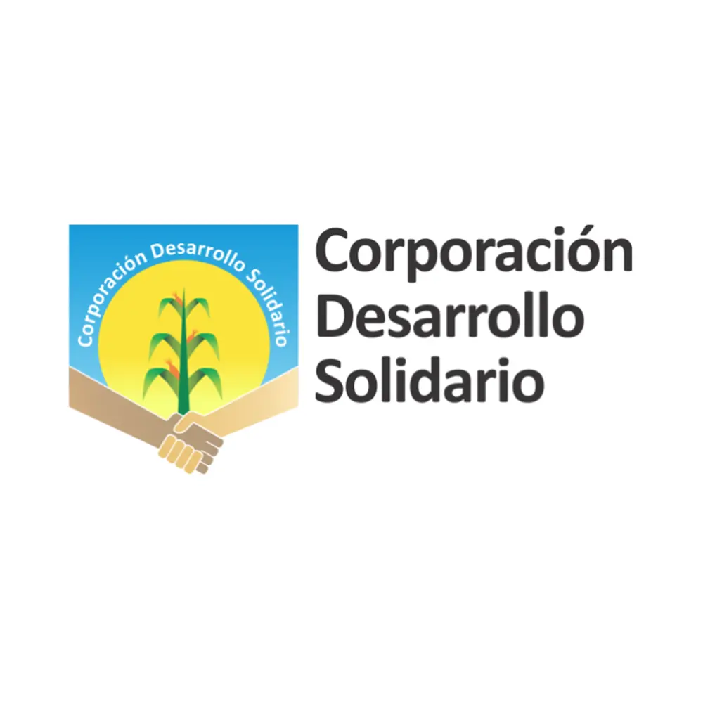 corporacion desarrollo solidario